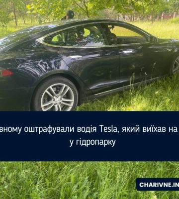 У Рівному оштрафували водія Tesla, який виїхав на газон у гідропарку