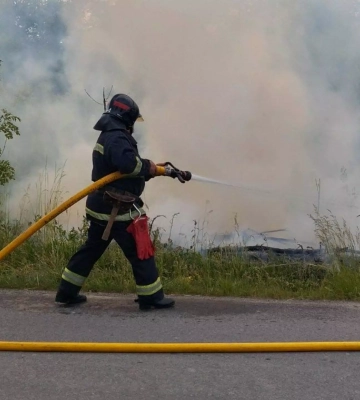 За добу в Житомирському регіоні виникло 14 пожеж в екосистемах