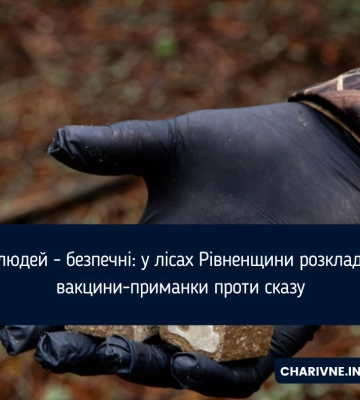 У лісах Рівненщини розкладають приманки з вакциною проти сказу
