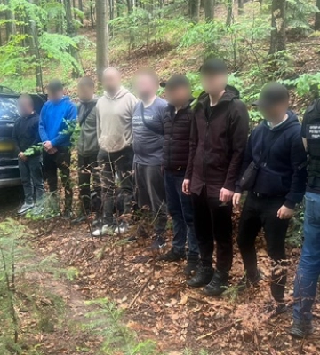 В парке Мершавцева Кривого Рога обокрали клумбу в парке