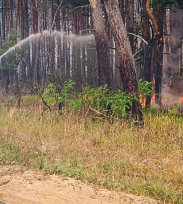 На Харківщині через російські обстріли палає понад 2300 га лісів