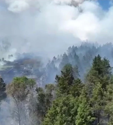 Лісову пожежу на Полтавщині гасили 19 одиниць техніки та 70 пожежників
