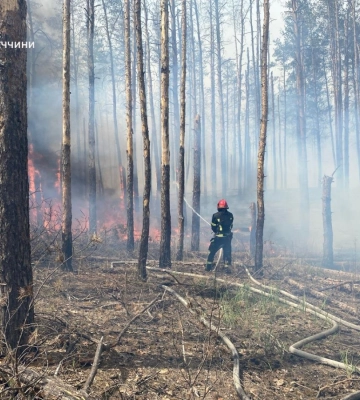 РФ обстріляла Національний природний парк «Святі гори» на Донеччині: виникла масштабна пожежа
