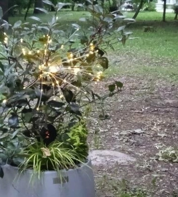 Сьогодні у Львові хмарно, до +25