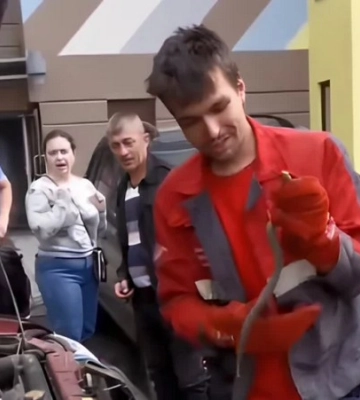 Гадюка під капотом приїхала до Києва із самого Львова (ВІДЕО)