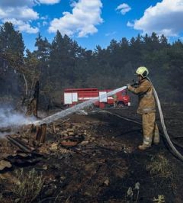 Рятувальники ліквідували лісову пожежу у Полтавському районі