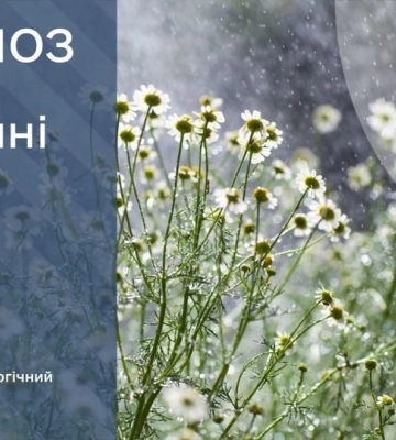 Прогноз погоди на 29 травня Київ 26-28° та область 23-28°