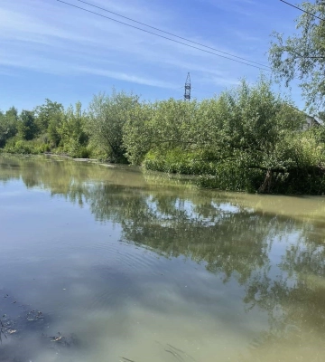 У Львівській області невідомою рідиною забруднили річку, - ФОТО