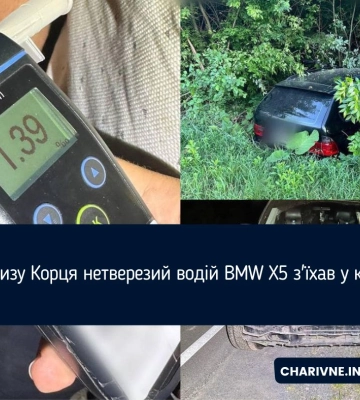 Поблизу Корця нетверезий водій BMW X5 з&#039;їхав у кювет