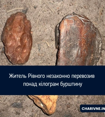 Житель Рівного незаконно перевозив понад кілограм бурштину