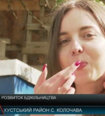 Розвиток бджільництва на Закарпатті (відео)