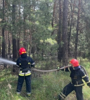 На Харківщині через російські обстріли горять вже 3700 гектарів лісу