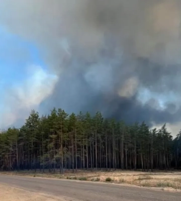 3700 гектарів лісів горять в Харківській області