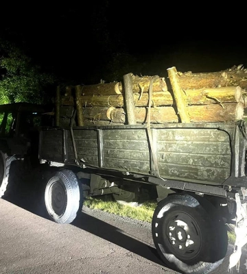 На півночі Рівненщини спіймали 23-річного водія трактора, який віз нелегальні колоди