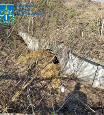 Вбивство ветерана АТО Олександра Мандича в Києві: суд виніс вирок виконавцю