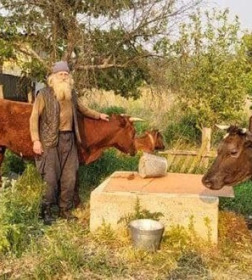 «Йду з того світу»: 70-річний чоловік із трьома коровами і собакою пішки мандрував з Донеччини