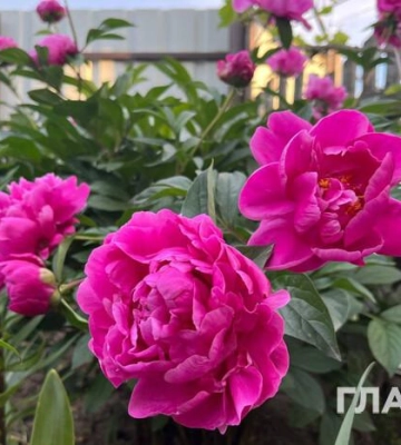 29° тепла, короткочасні дощі: прогноз погоди на 1 червня