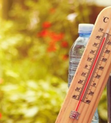 До 30 градусів тепла: якою буде погода у Дніпрі 1 червня