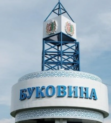 На Буковині чоловік напав на працівників ТЦК з газовим балончиком: як його покарають