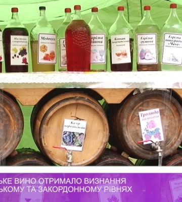 Закарпатське вино отримало визнання на українському та закордонному рівнях (відео)
