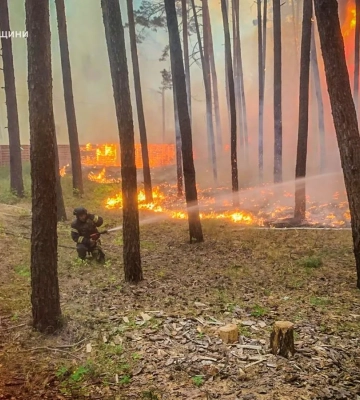 У Харківській області зафіксовано 18 лісових пожеж