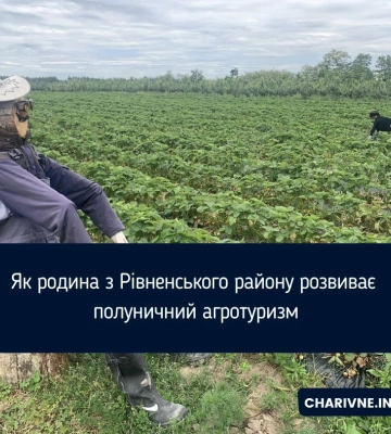Як родина з Рівненського району розвиває полуничний агротуризм