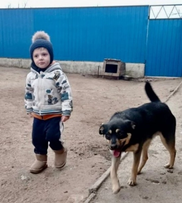Татарбунарський міський голова розповів, як можна долучитися до пошуків зниклого хлопчика з села Борисівка