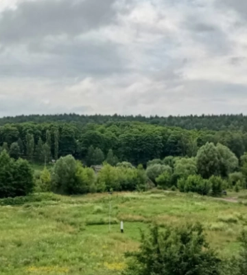 В Хмельницкой области государству вернули почти 300 га леса