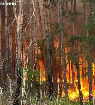 У Харківській області вирують 9 лісових пожеж