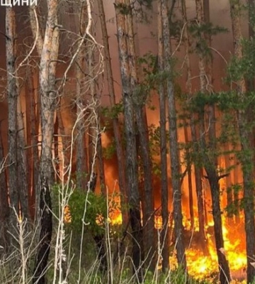 У Харківській області вирують 9 лісових пожеж