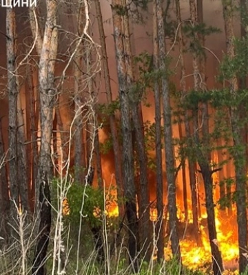 На Харківщині гасять дев&#039;ять лісових пожеж