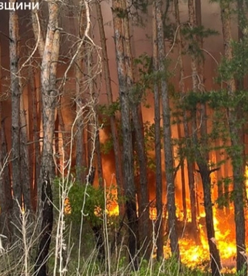 На Харківщині палає більше 3 700 гектарів лісів