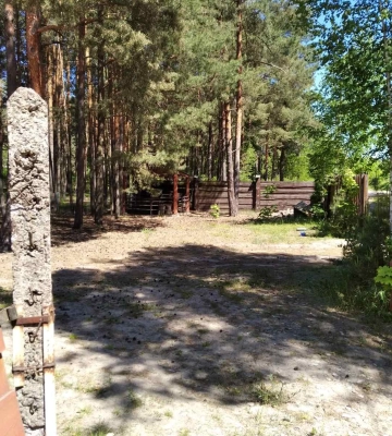 За 150 тисяч: громада на Волині продає землю в урочищі «Гряда»