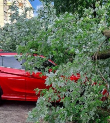 На Київщині через негоду тисячі родин залишились без світла
