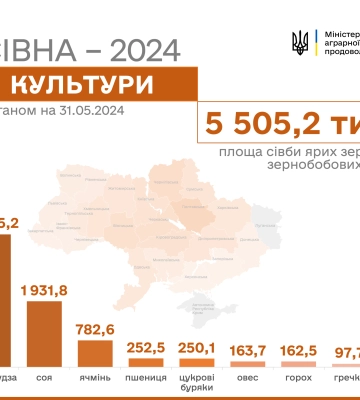 Аграрії України засіяли понад 98% площ зернових та зернобобових