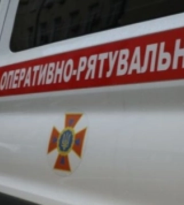 У Радивилові діставали кота з водойми