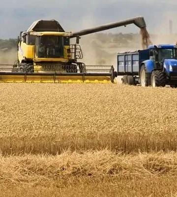 Цього року урожай зернових та олійних культур прогнозується на рівні близько 75 млн тонн - нардеп