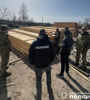 На Житомирщині викрили групу "чорних лісорубів": "бізнес-план" розробив житель Рівненщини