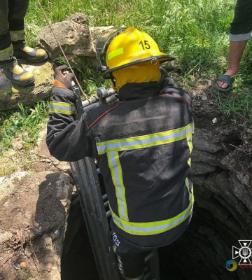 На Одещині врятували козенятко, яке впало у колодязь (фото, відео)