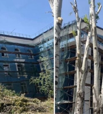 В центре Мелитополя оккупанты оставили пеньки вместо деревьев  - всюду мерещатся партизаны 