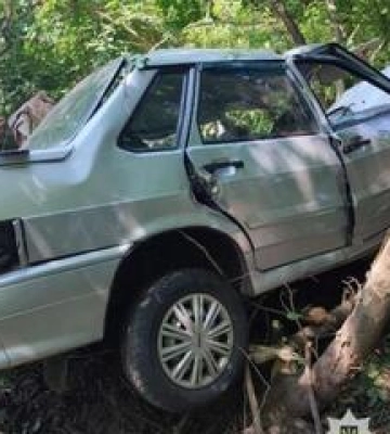 Автотроща на Полтавщині: п'яний водій влетів у дерево