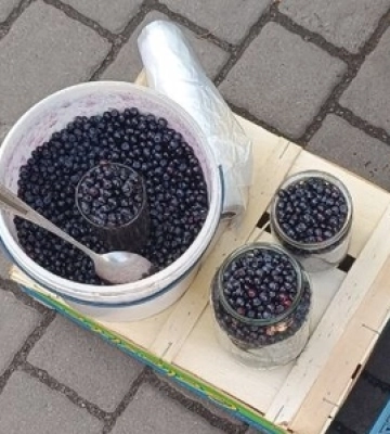 Скільки коштують перші чорниці на луцьких ринках