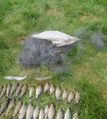 На Роменщині браконьєр наловив риби на 110,5 тис. грн