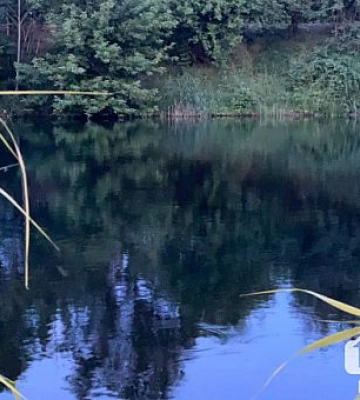 У Кривому Розі троє мешканців отримали кошти на власну справу