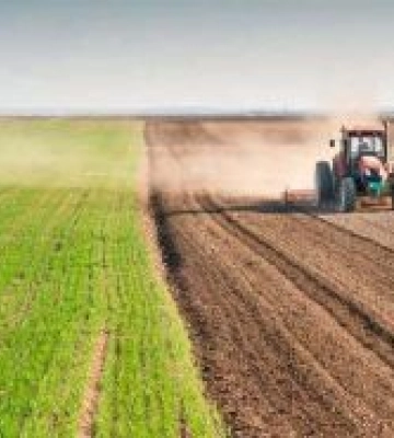 Українські аграрії засіяли понад 12 мільйонів гектарів ярих культур, — Комітет з питань аграрної та земельної політики
