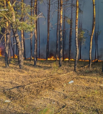 На Харьковщине продолжают гасить пять лесных пожаров, горят 3000 га — ГСЧС