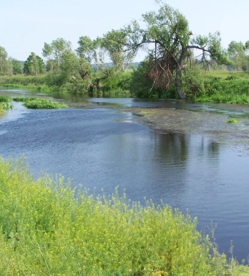 На Черкащині у річці Тясмин потонула дитина