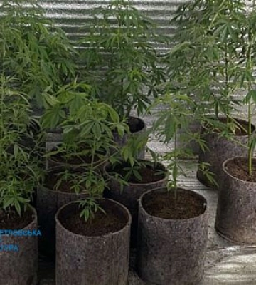 Мешканцю Дніпропетровщини збільшили строк ув`язнення за продаж особливо небезпечних наркотиків