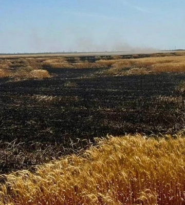 Російські військові скинули вибухівки на поля з пшеницею в Херсонській області