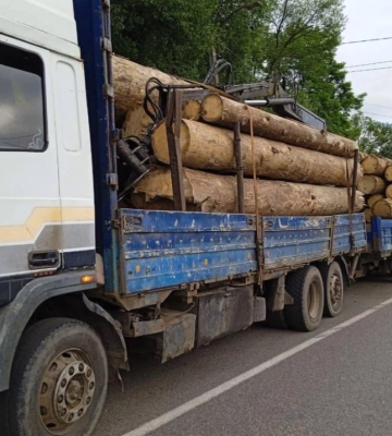 Закарпатські патрульні зупинили вантажівку з деревиною сумнівного походження